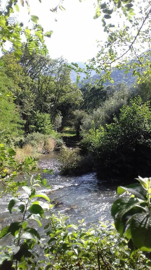 Bagnères-de-Luchon Le 102, T3 Pour 5 Personnes, Vue Montagne, Classe 2 Etoiles Nf, Parking, Piscine En Ete מראה חיצוני תמונה